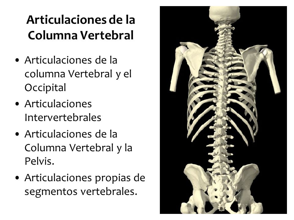 El embarazo el dolor vivo en los riñones a la izquierda